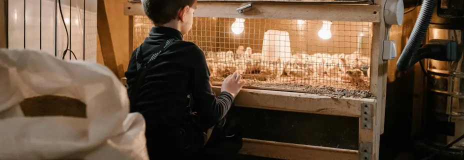 Do hodiny z Prahy: Letní výlety, které baví děti i rodiče